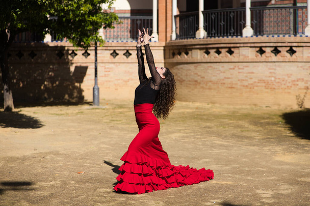 Krásná žena tančící flamenco v Seville ve Španělsku. Má na sobě červené a černé cikánské šaty a tančí flamenco se spoustou umění. V pozadí pomník s oblouky a sloupy - Fotografie, Obrázek