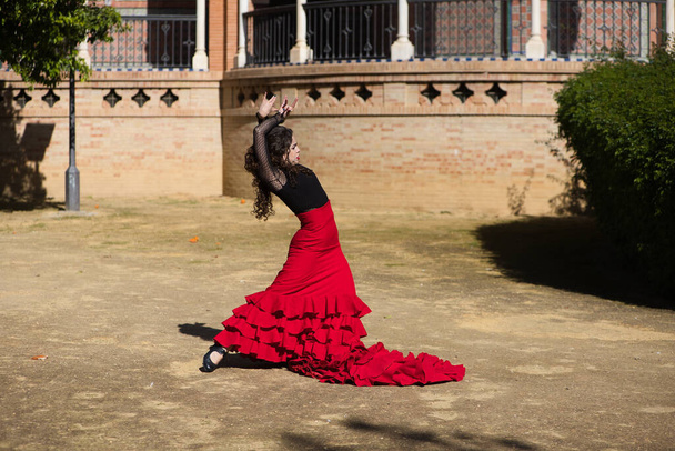 Linda mulher dançando flamenco em Sevilha, Espanha. Ela está vestindo um vestido cigano vermelho e preto e dançando flamenco com muita arte. No fundo um monumento com arcos e colunas - Foto, Imagem