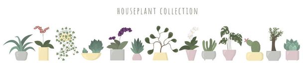 Colección de diferentes plantas de interior aisladas sobre fondo blanco - Vector, Imagen
