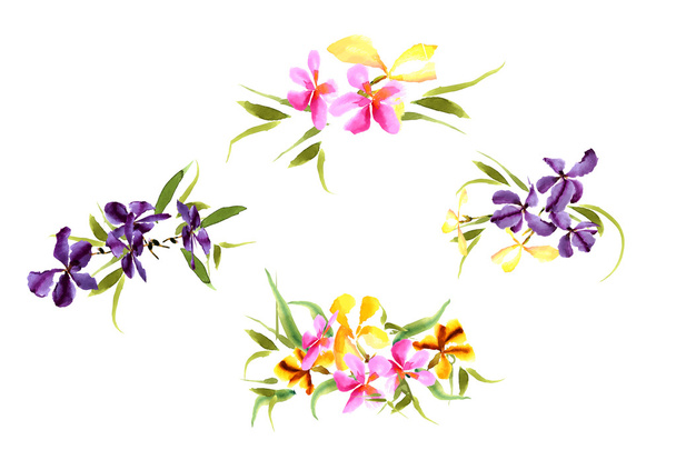 Background watercolor Iris flowers - Vector, imagen