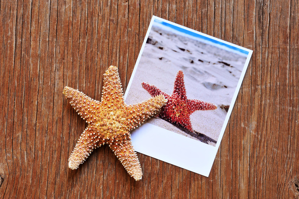 tengeri csillag és egy sürgős fénykép a tengeri csillagot a fa felületén - Fotó, kép