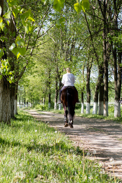 Reiterinnen am sonnigen Tag im Wald - Foto, Bild