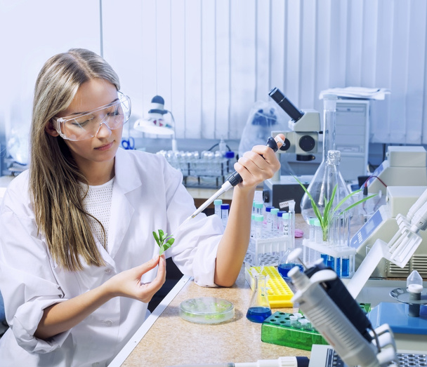 Scientist in chemical laboratory - Foto, Imagem