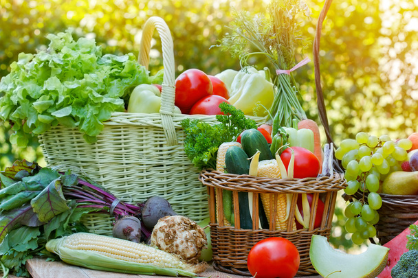Organic vegetables - Photo, Image