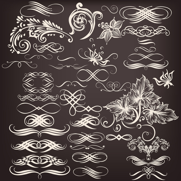 Collection of vector calligraphic flourishes - Vector, Image