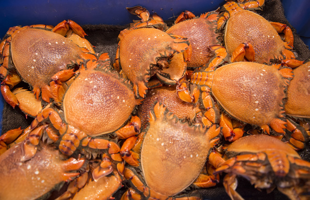 cangrejos en el mercado - Foto, imagen