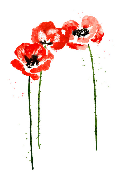Collection of watercolor poppy flowers - Вектор,изображение