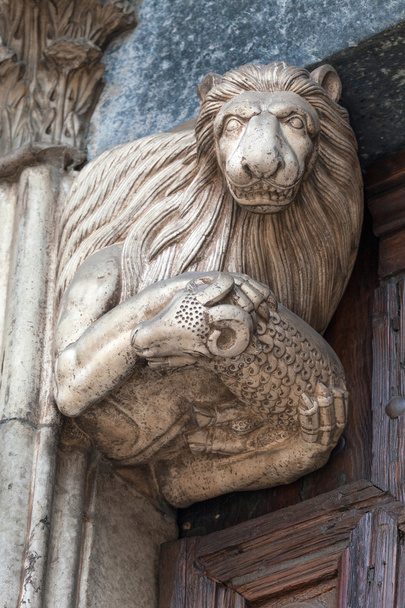 León sosteniendo un cordero
 - Foto, imagen