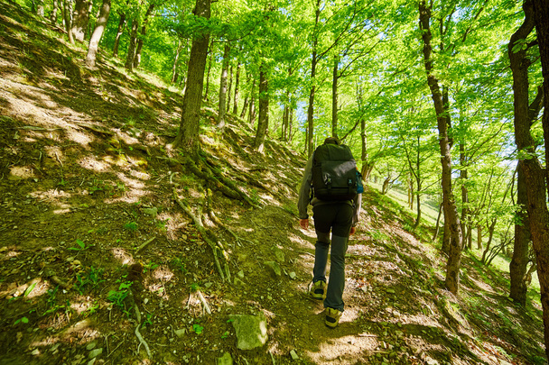 Teenager hiker walking on a mountain trail - Foto, imagen