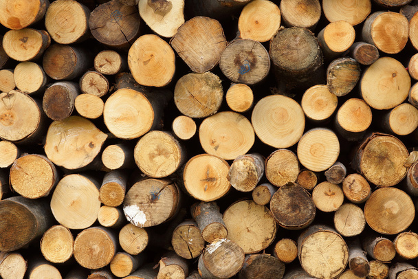 Pile de grumes de bois prête pour l'hiver - Photo, image