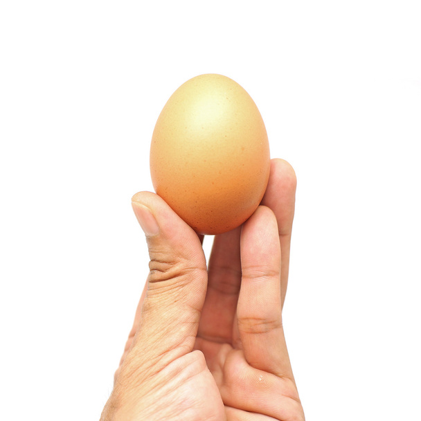яйцо в мужской руке
 - Фото, изображение