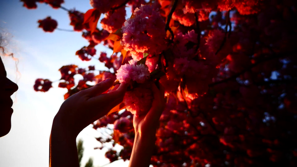Mladá žena a třešeň kvetoucí při západu slunce - Záběry, video