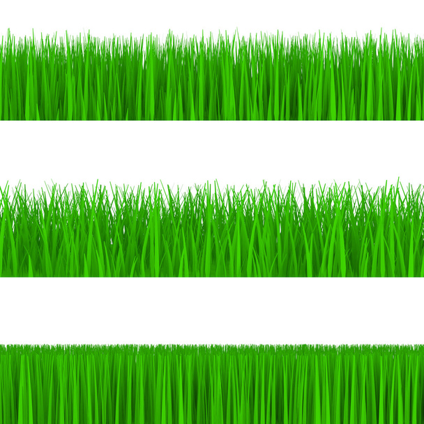 Set of Green Grass. 3d Illustration - Photo, Image