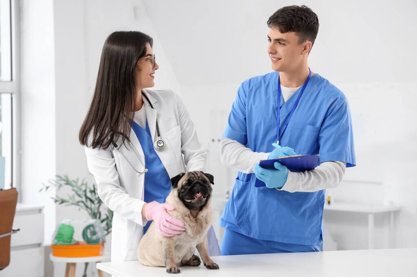 Młodzi lekarze weterynarii z psem w klinice - Zdjęcie, obraz
