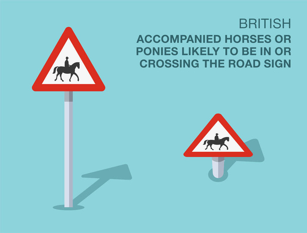 Verkehrsregeln. Vereinzelte britische "begleitete Pferde oder Ponys, die wahrscheinlich auf der Straße sind oder diese überqueren" -Schilder. Ansicht von vorne und von oben. Vorlage für flache Vektorabbildung. - Vektor, Bild