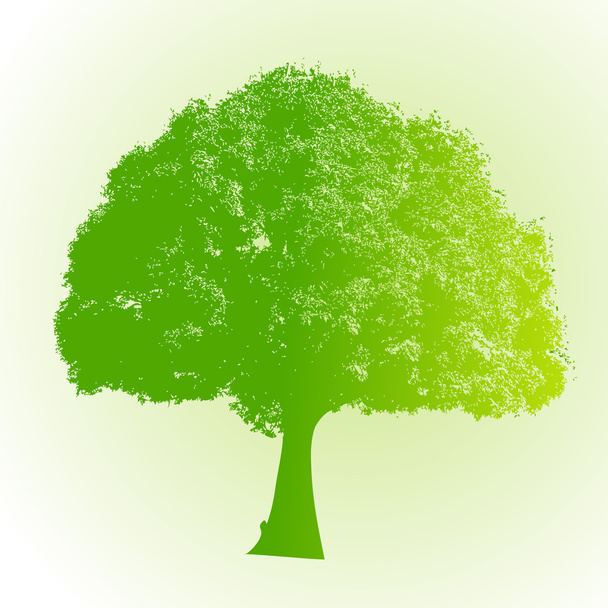 Albero verde ecologico
 - Vettoriali, immagini