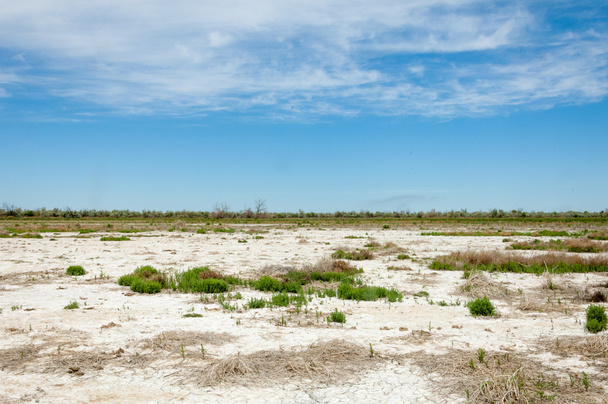 Степные соляные почвы. Солевая соль в соли. степная прерия
 - Фото, изображение