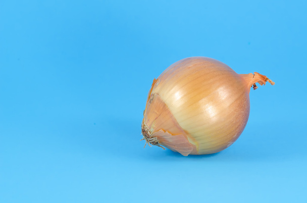 Ripe unpeeled onion on blue background close up - Foto, afbeelding