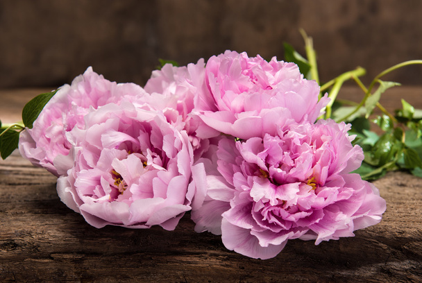 Beautiful bouquet of pink peonies - Photo, Image