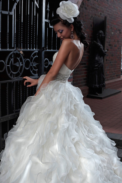 アンティーク スタイルの美しいブルネットの花嫁 - 写真・画像