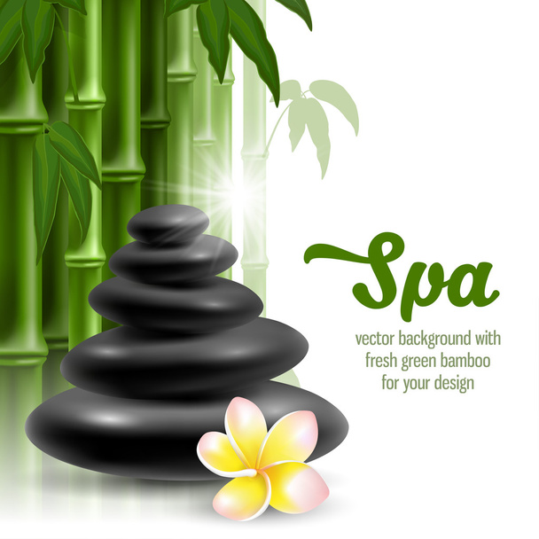Beauty and SPA - Vector, Image