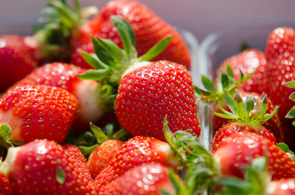 Strawberries being grown - Φωτογραφία, εικόνα