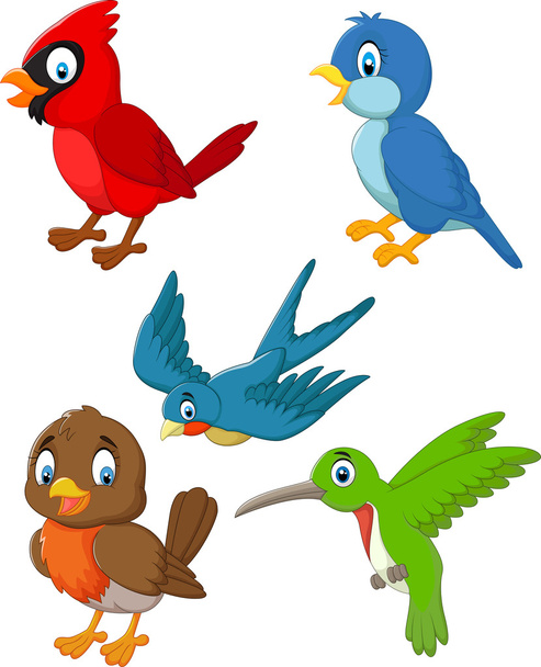 Cartoon birds collection set - Vector, Image