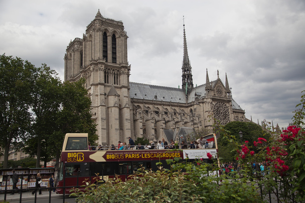 Katedra Notre Dame Paryż - Zdjęcie, obraz