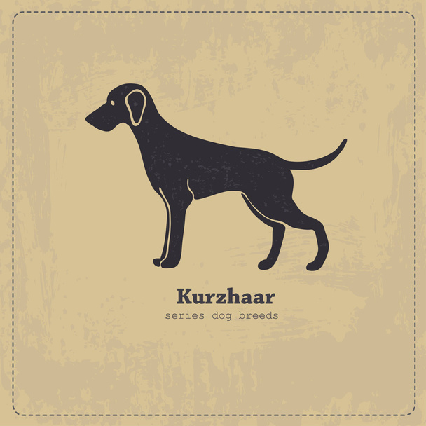 Kurzhaar 犬のシルエット - ベクター画像