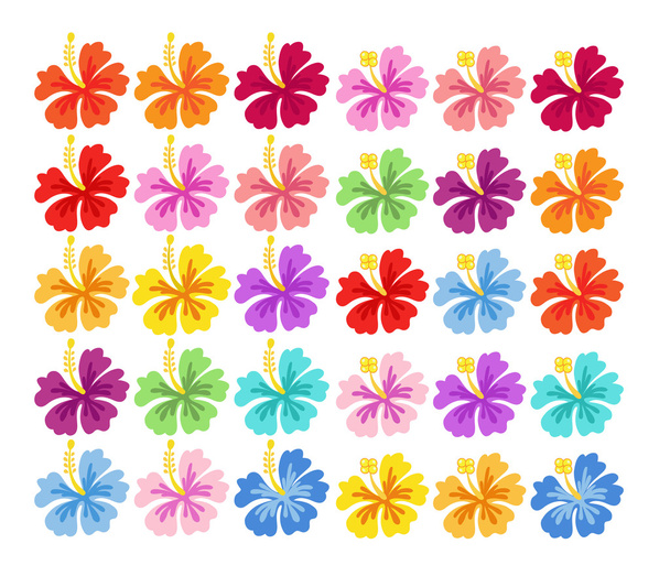 Set of colorful hibiscuses. - Vector, Image
