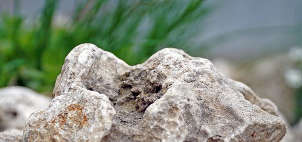 άσπρες πέτρες στον κήπο - Φωτογραφία, εικόνα