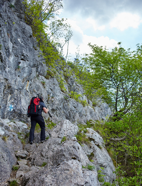 Hiker man walking to a mountain rocky trail - Fotoğraf, Görsel