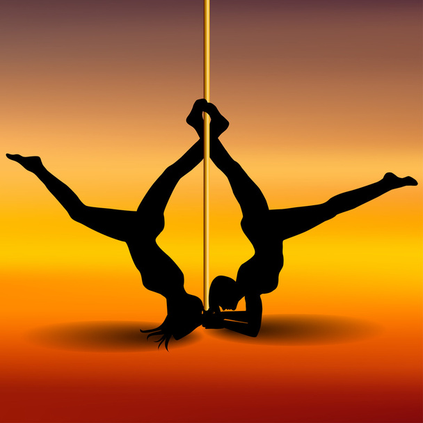 Two Pole dancers with long and short hair  on the pole  on the y - Vector, Image