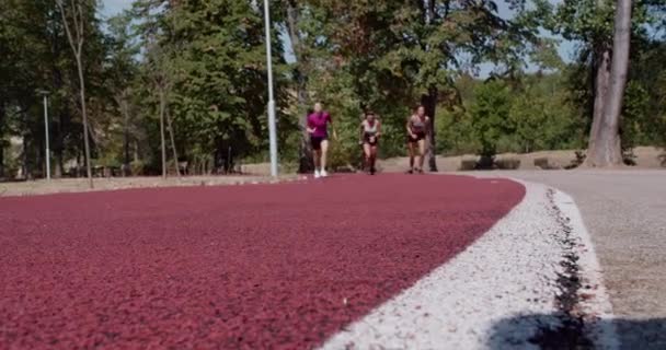 Три спортсменки бігають разом на трасі в міському парку протягом яскравого сонячного дня, демонструючи фітнес, здоровий спосіб життя та мотивацію. - Кадри, відео
