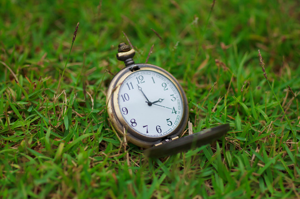 Stock Photo - Old vintage pocket clock on grass - Photo, Image