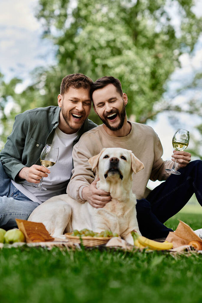 Бородата гомосексуальна пара насолоджується пікніком зі своїм лабрадором у пишному зеленому парку, ділячись сміхом і келихом вина. - Фото, зображення