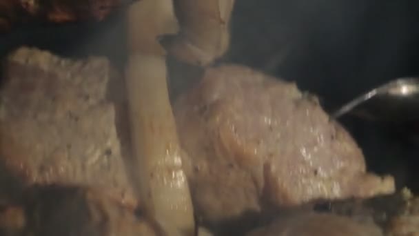 Fleisch auf dem Feuer gegrillt - Filmmaterial, Video