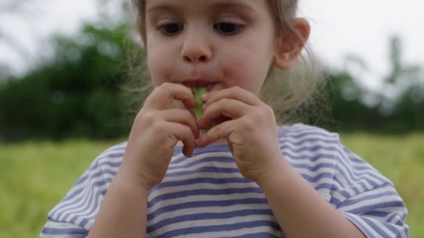 Egy szívmelengető videó egy fiatal lányról, aki élvezi a természetet, egészséges harapnivalókat eszik. Csíkos inget visel, virágot tart, ártatlanságot és örömet adva a jelenetnek. - Felvétel, videó
