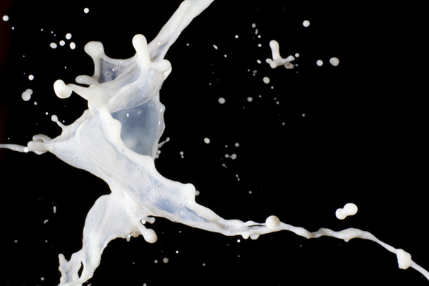 Fresh milk - Foto, immagini