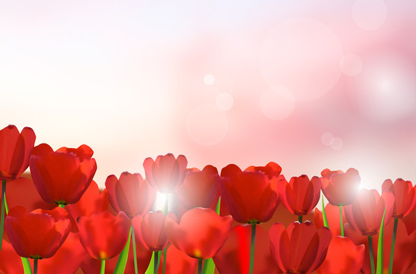 Czerwone tulipany na błyszczącym tle - Wektor, obraz