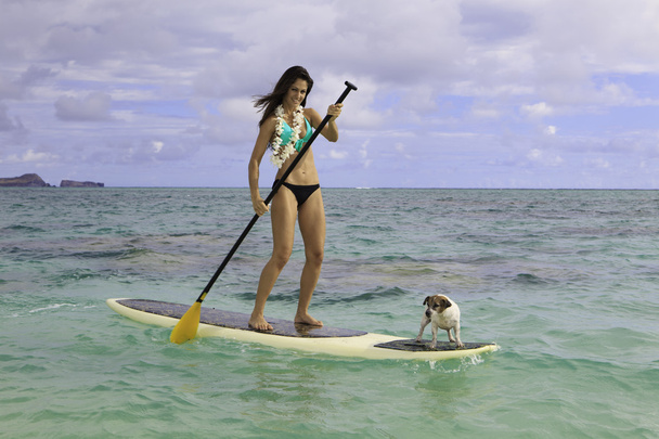 güzel bir kadın onun paddle kurulu - Fotoğraf, Görsel