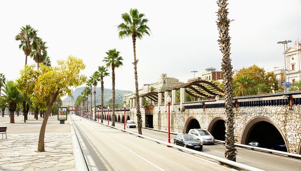 Park a silnici v Barceloně - Fotografie, Obrázek