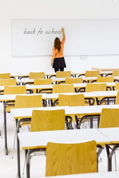 Teacher writing on blackboard - Photo, Image