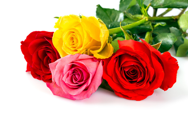 Roses - Foto, Imagen