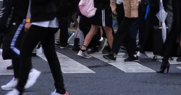Nohy chodící lidí na přejezdu deštivého dne. Okres Shibuya Tokio Japan-04.30.2019: je centrem města v Tokiu. fotoaparát: Canon EOS 5D mark4 - Záběry, video