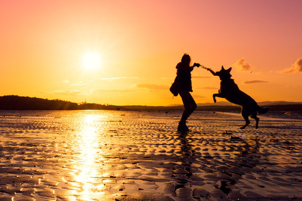 Hipster girl playing with dog at a beach during sunset, silhouettes with vibrant colors - Fotó, kép