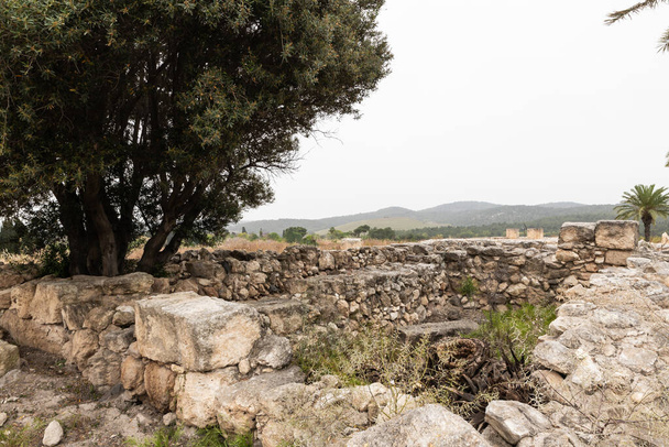 Ruines des temples cananéens lors de la fouille des fortifications cananéennes du site de Megiddo près de la ville de Yokneam dans le nord d'Israël - Photo, image