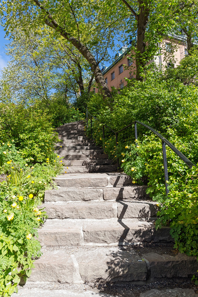 Каменные лестницы в зеленом саду весной
 - Фото, изображение
