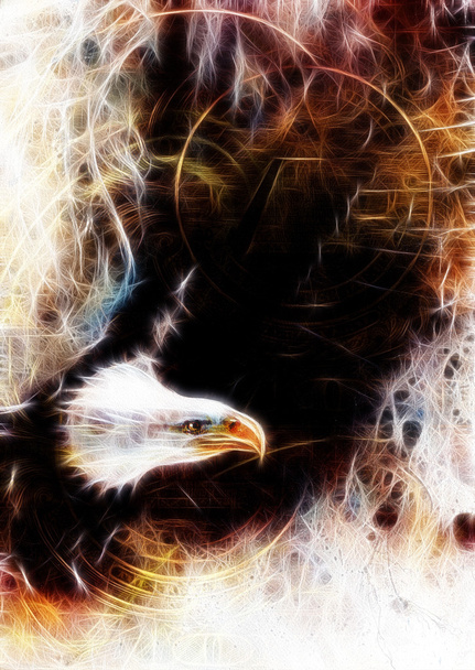 Flying eagle, szép festés illusztráció, a kollázs egy dollár. textúra a háttér. Fraktál hatása - Fotó, kép