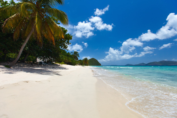 гарний тропічний пляж у Карибському басейні - Фото, зображення